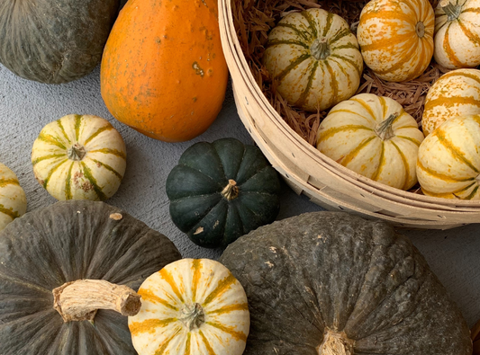 October - Pumpkins, Mums, Apples, and All The Fall Goodies