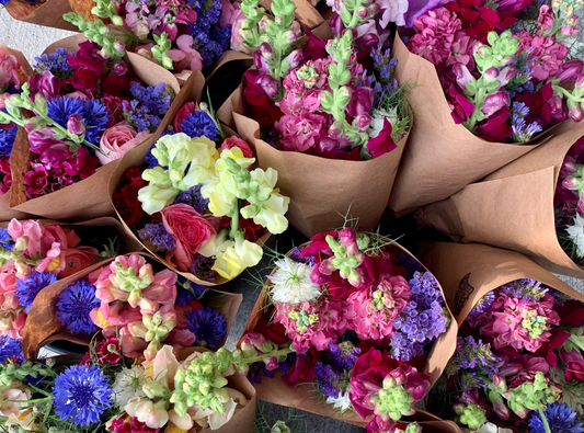 Flower Fridays at Bell Urban Farm