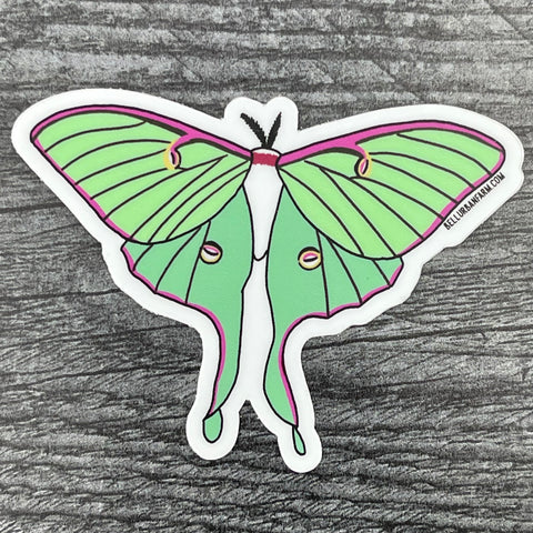 Sticker - Luna Moth